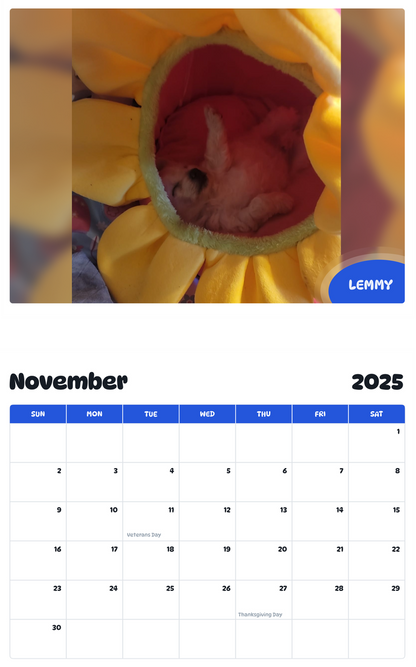 July 2025 - June 2026 Lemmy - Pawidols Pet Calendar