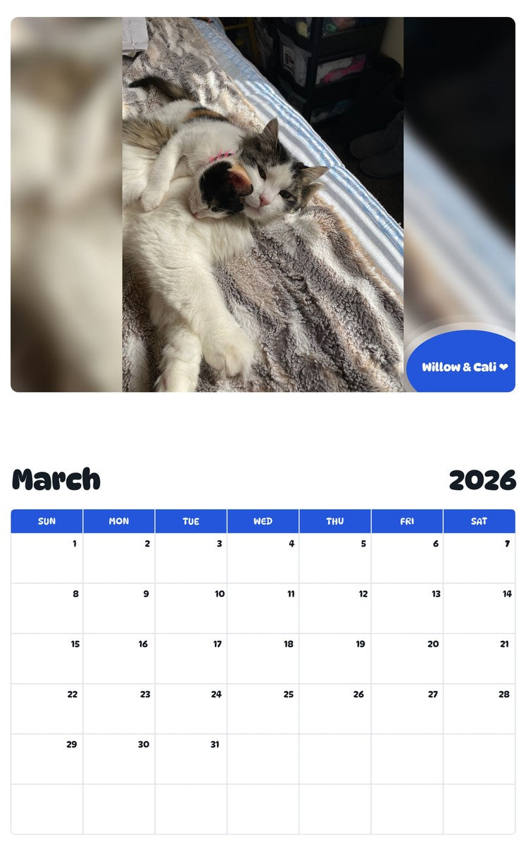 November 2025 - October 2026 Willow & Cali ❤️ - Pawidols Pet Calendar