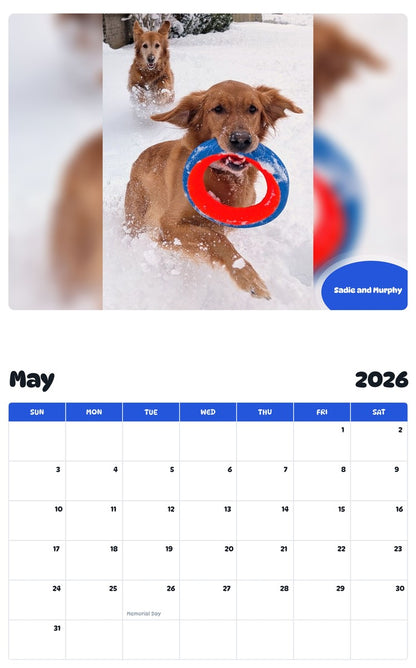 2026 - 2027 Sadie and Murphy - Pawidols Pet Calendar
