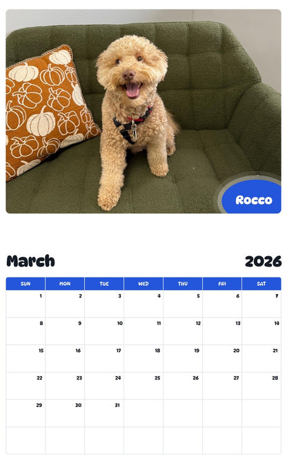November 2025 - October 2026 Rocco - Pawidols Pet Calendar