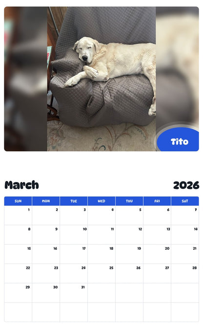 November 2025 - October 2026 Tito - Pawidols Pet Calendar