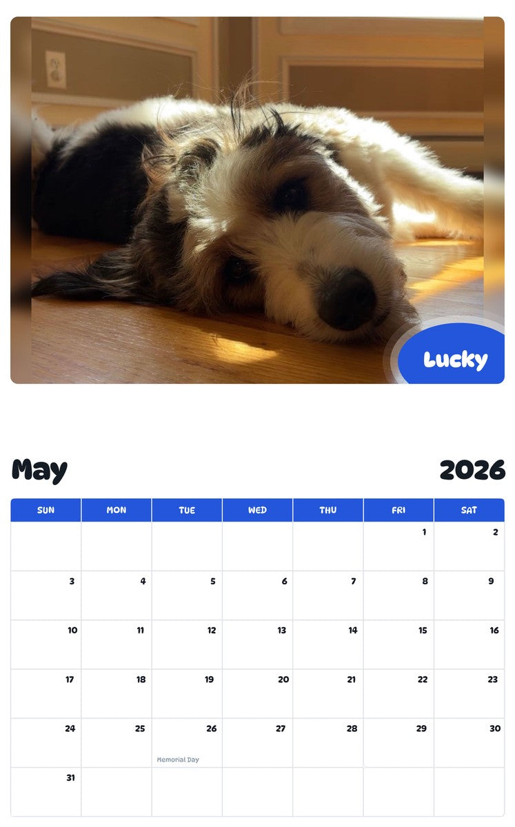 2026 - 2027 Lucky - Pawidols Pet Calendar