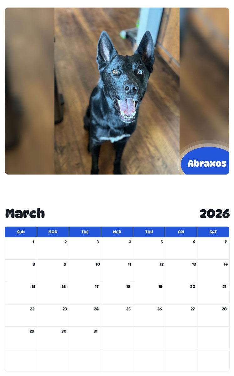 November 2025 - October 2026 Abraxos - Pawidols Pet Calendar