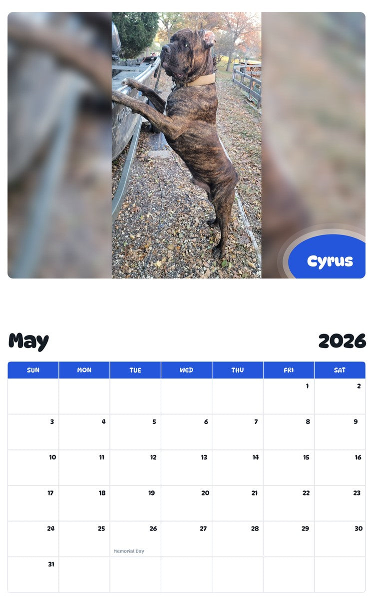 2026 - 2027 Cyrus - Pawidols Pet Calendar
