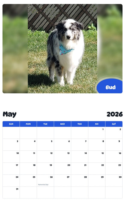 2026 - 2027 Bud - Pawidols Pet Calendar