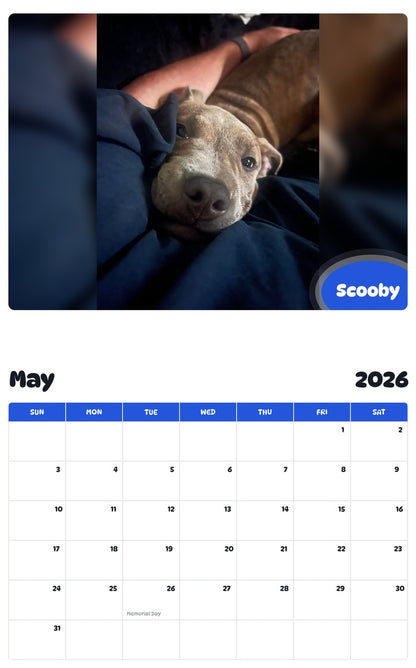 2026 - 2027 Scooby - Pawidols Pet Calendar