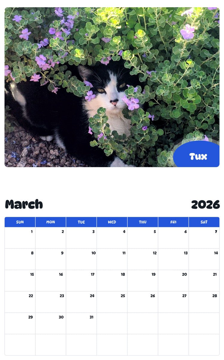 November 2025 - October 2026 Tux - Pawidols Pet Calendar