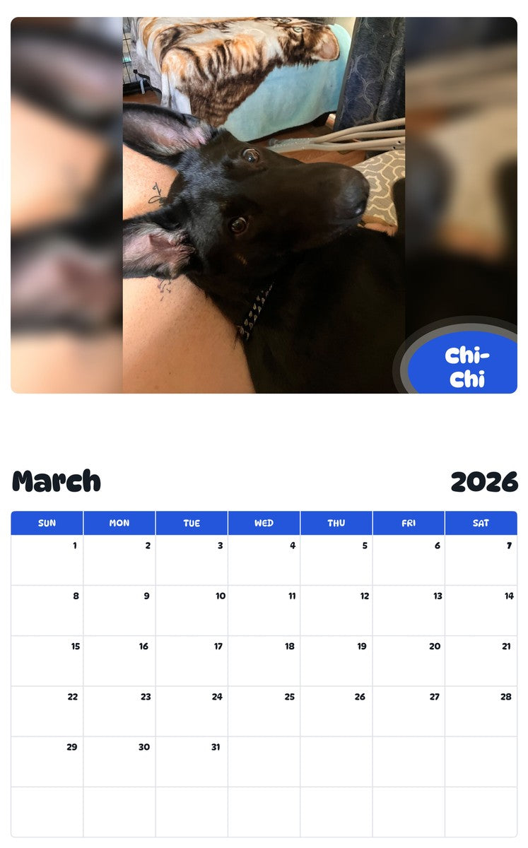 November 2025 - October 2026 Chi-Chi - Pawidols Pet Calendar