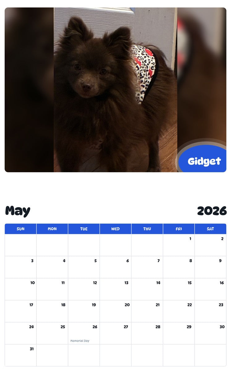 2026 - 2027 Gidget - Pawidols Pet Calendar
