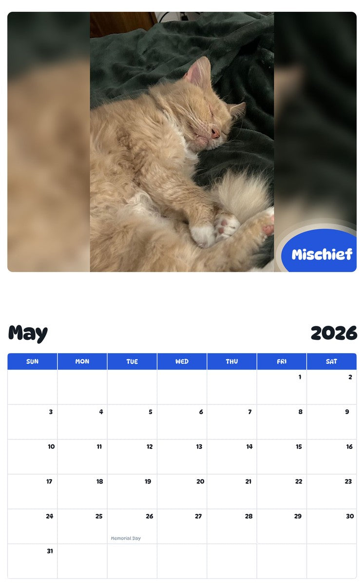 2026 - 2027 Mischief - Pawidols Pet Calendar
