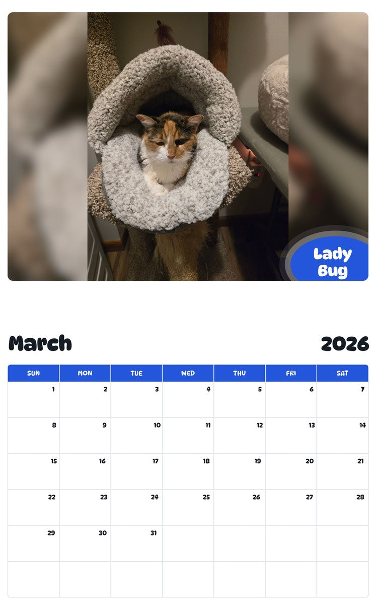 November 2025 - October 2026 Lady Bug - Pawidols Pet Calendar