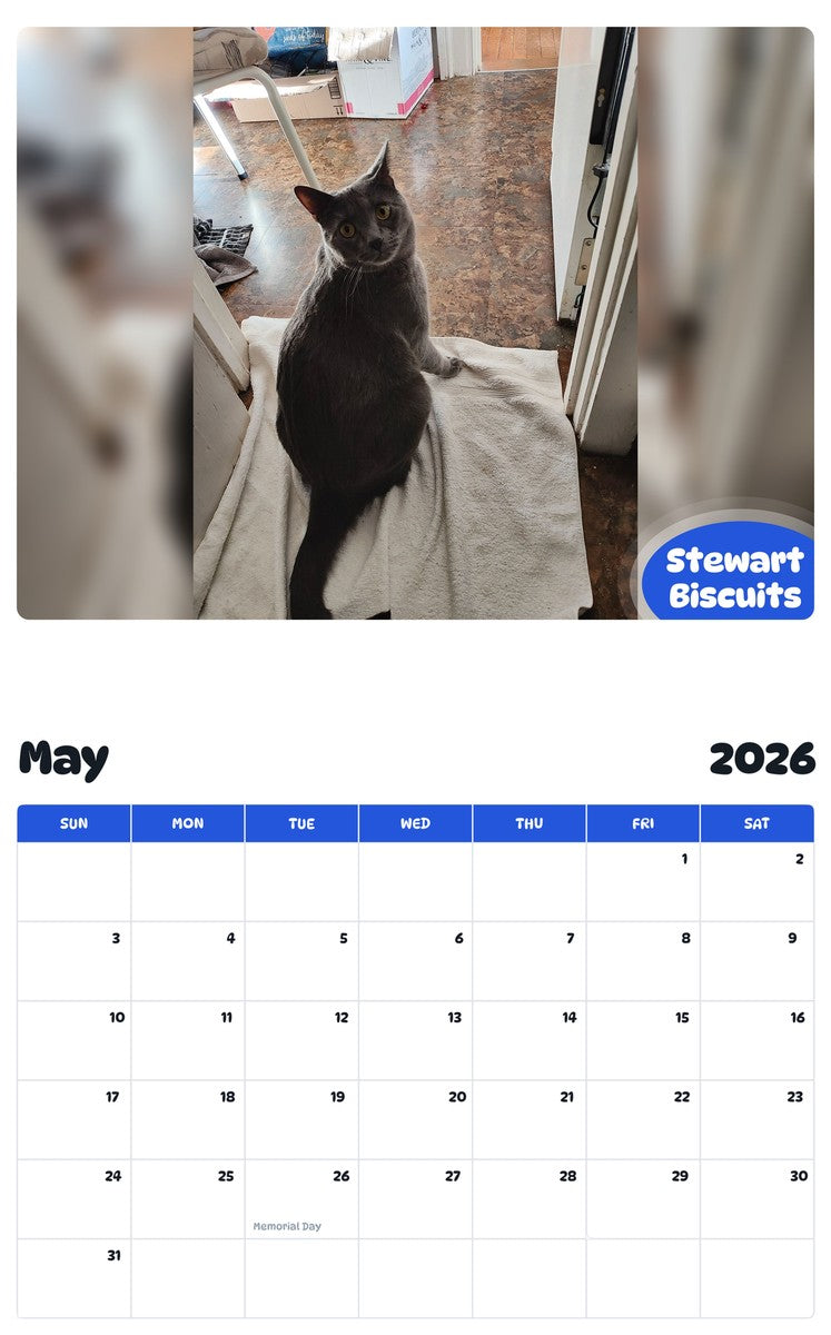 2026 - 2027 Stewart Biscuits - Pawidols Pet Calendar