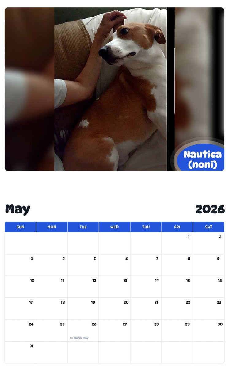 2026 - 2027 Nautica (noni) - Pawidols Pet Calendar