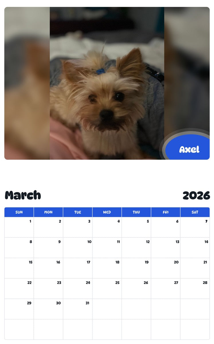 November 2025 - October 2026 Axel - Pawidols Pet Calendar