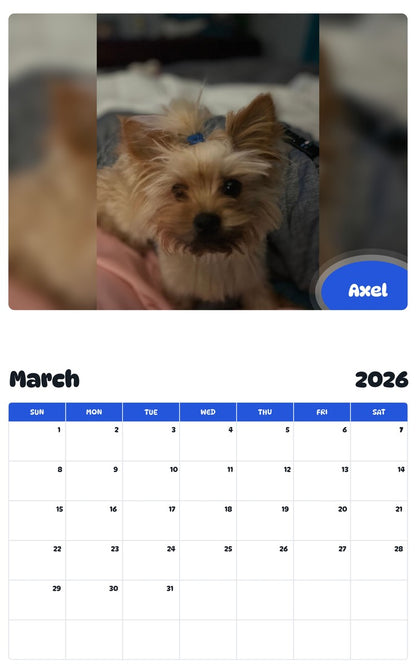 November 2025 - October 2026 Axel - Pawidols Pet Calendar