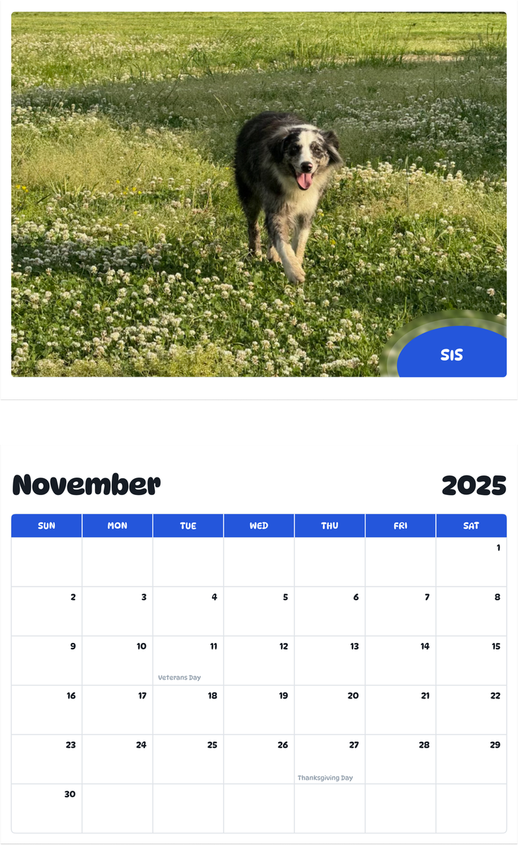 July 2025 - June 2026 Sis - Pawidols Pet Calendar