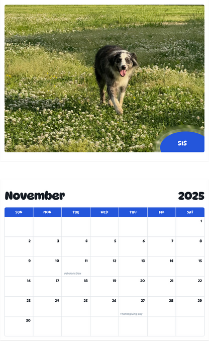 July 2025 - June 2026 Sis - Pawidols Pet Calendar