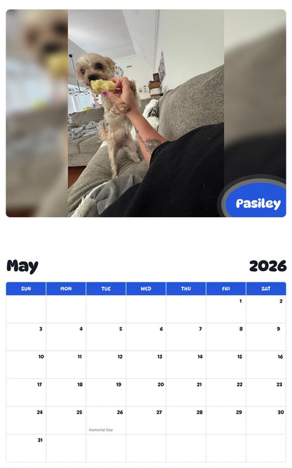 2026 - 2027 Pasiley - Pawidols Pet Calendar