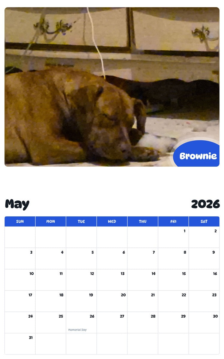 2026 - 2027 Brownie - Pawidols Pet Calendar
