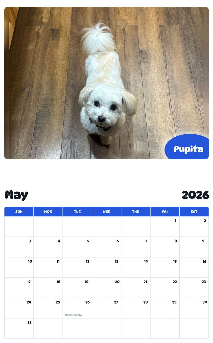 2026 - 2027 Pupita - Pawidols Pet Calendar