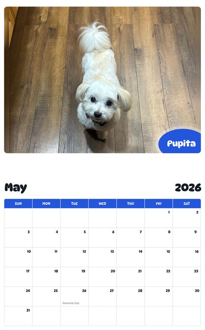 2026 - 2027 Pupita - Pawidols Pet Calendar