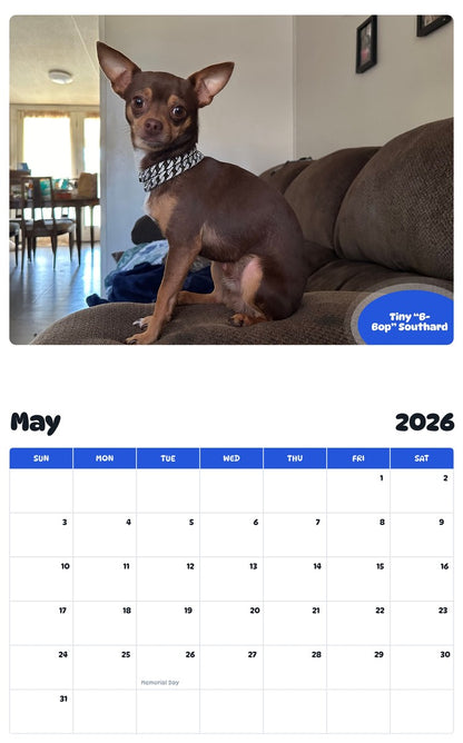 2026 - 2027 Tiny “B-Bop” Southard - Pawidols Pet Calendar