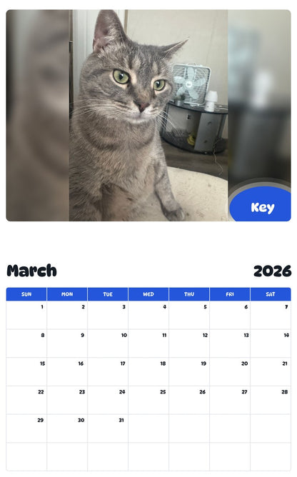 November 2025 - October 2026 Key - Pawidols Pet Calendar