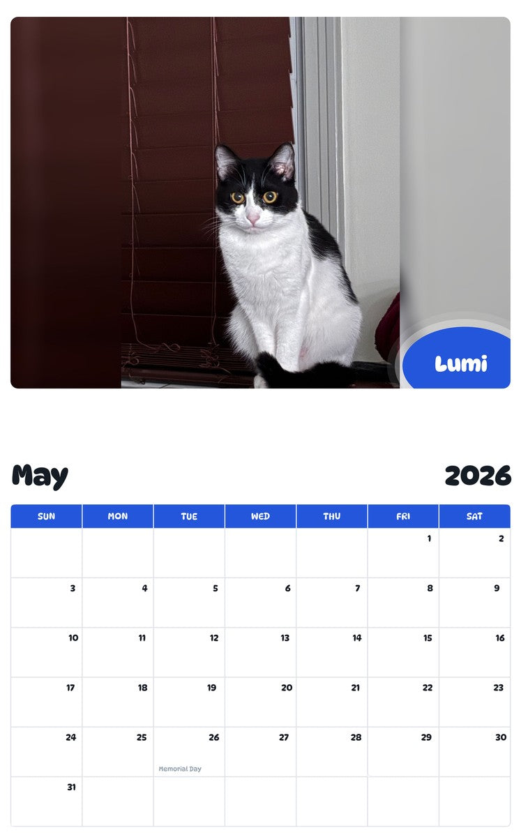 2026 - 2027 Lumi - Pawidols Pet Calendar