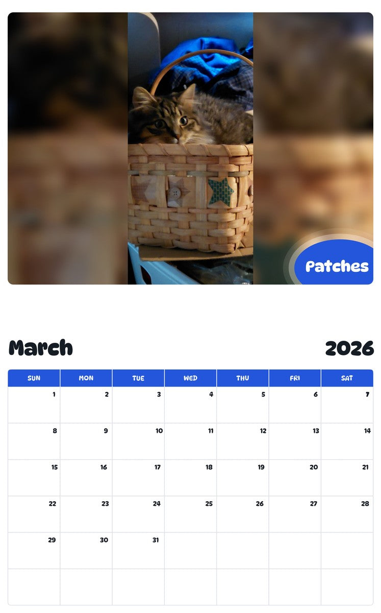 November 2025 - October 2026 Patches - Pawidols Pet Calendar
