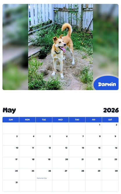 2026 - 2027 Darwin - Pawidols Pet Calendar