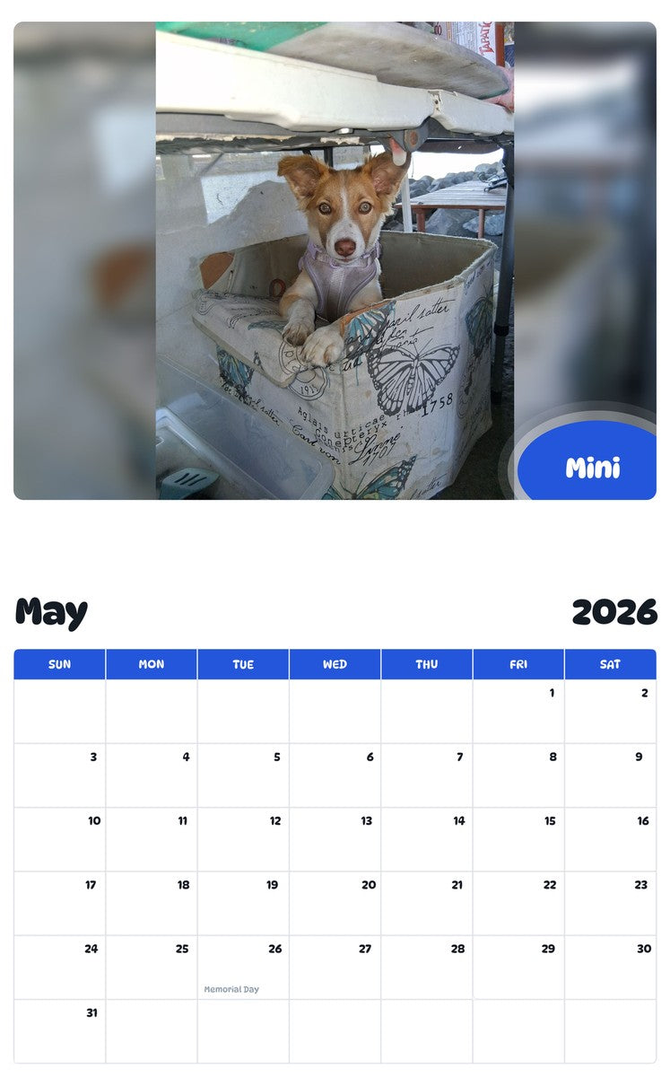 2026 - 2027 Mini - Pawidols Pet Calendar