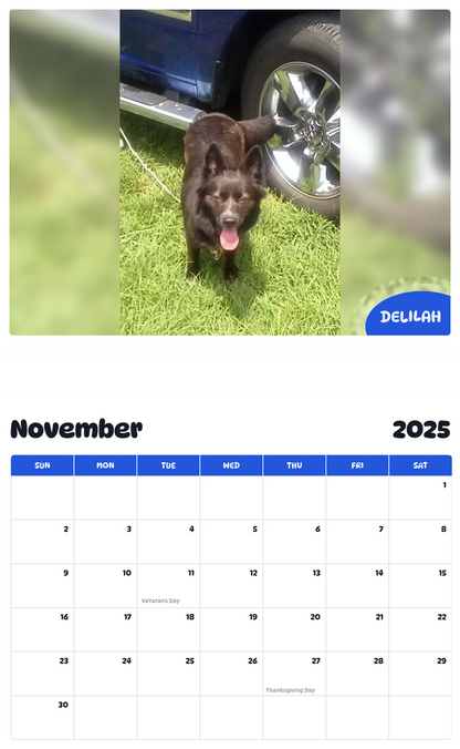 July 2025 - June 2026 Delilah - Pawidols Pet Calendar