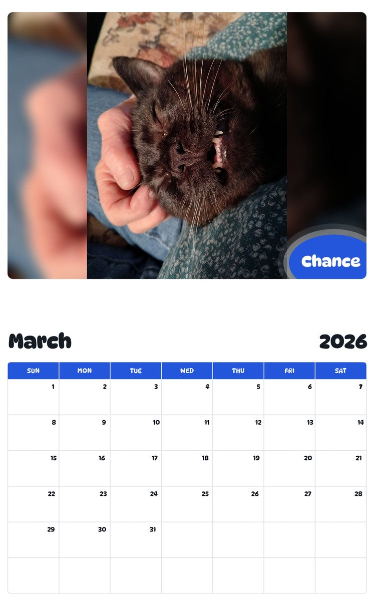 November 2025 - October 2026 Chance - Pawidols Pet Calendar