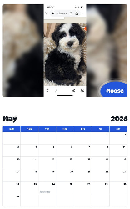 2026 - 2027 Moose - Pawidols Pet Calendar