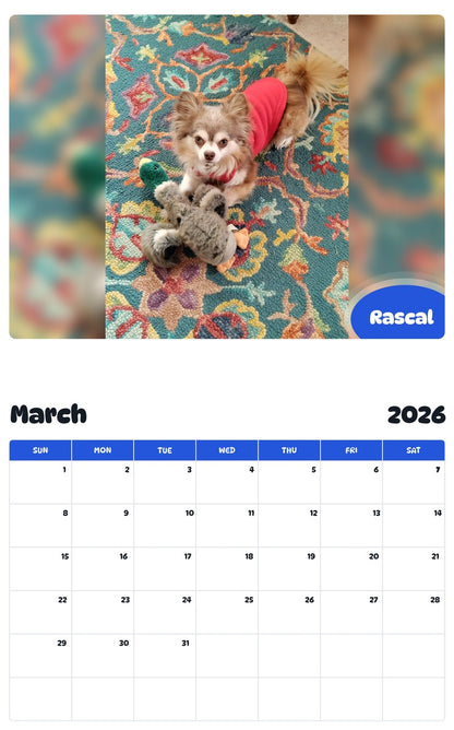 November 2025 - October 2026 Rascal - Pawidols Pet Calendar
