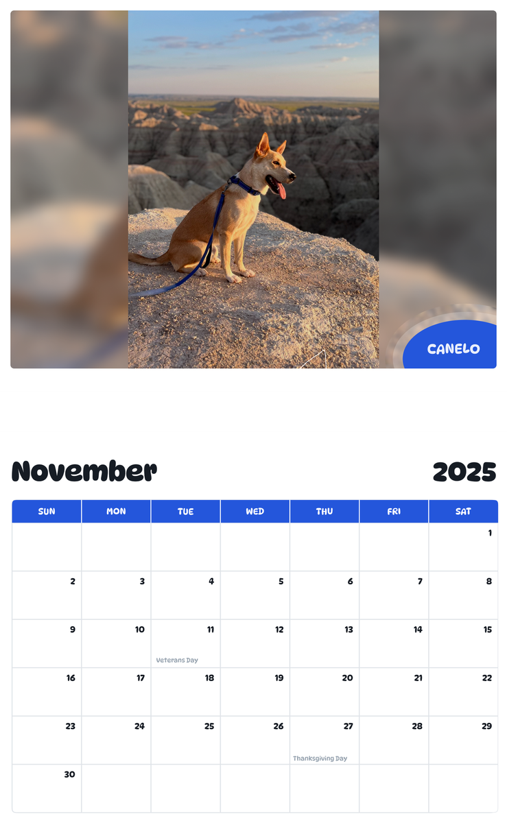 July 2025 - June 2026 Canelo - Pawidols Pet Calendar