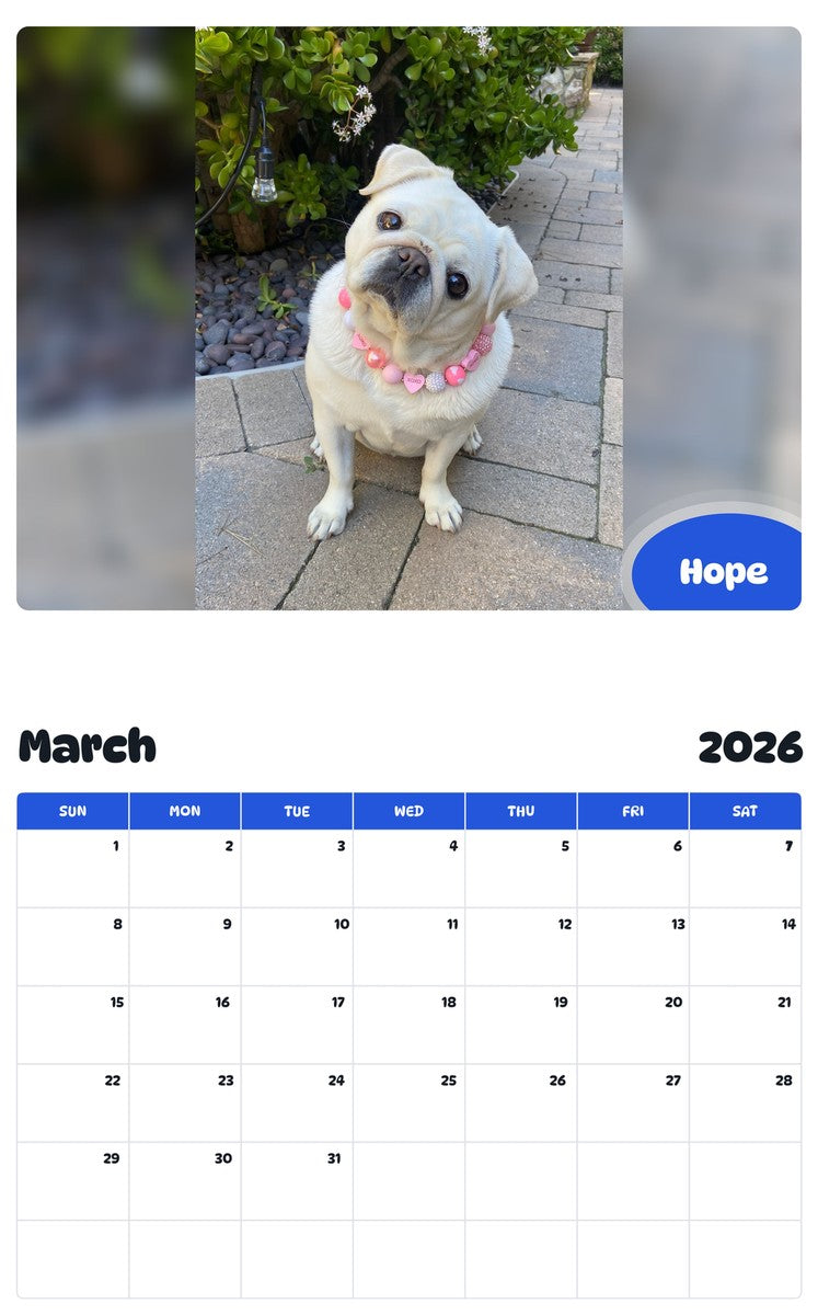 November 2025 - October 2026 Hope - Pawidols Pet Calendar