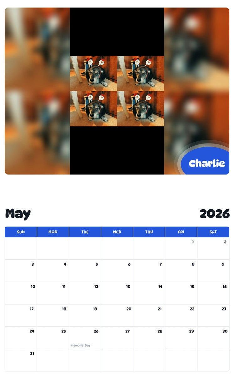 2026 - 2027 Charlie - Pawidols Pet Calendar