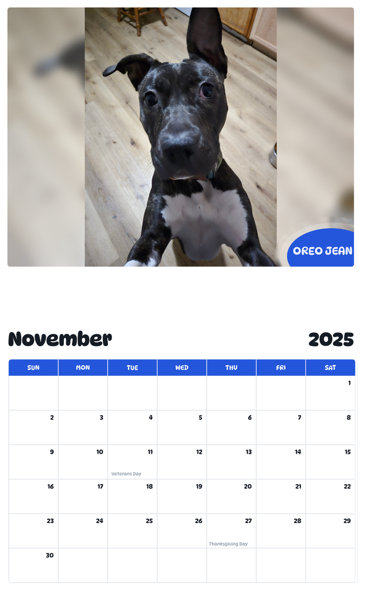 July 2025 - June 2026 Oreo Jean - Pawidols Pet Calendar