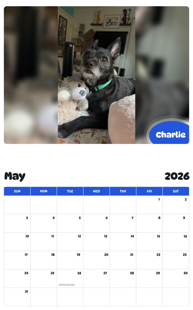 2026 - 2027 Charlie - Pawidols Pet Calendar