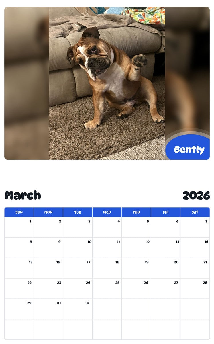 November 2025 - October 2026 Bently - Pawidols Pet Calendar
