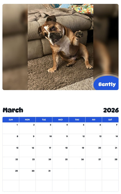 November 2025 - October 2026 Bently - Pawidols Pet Calendar