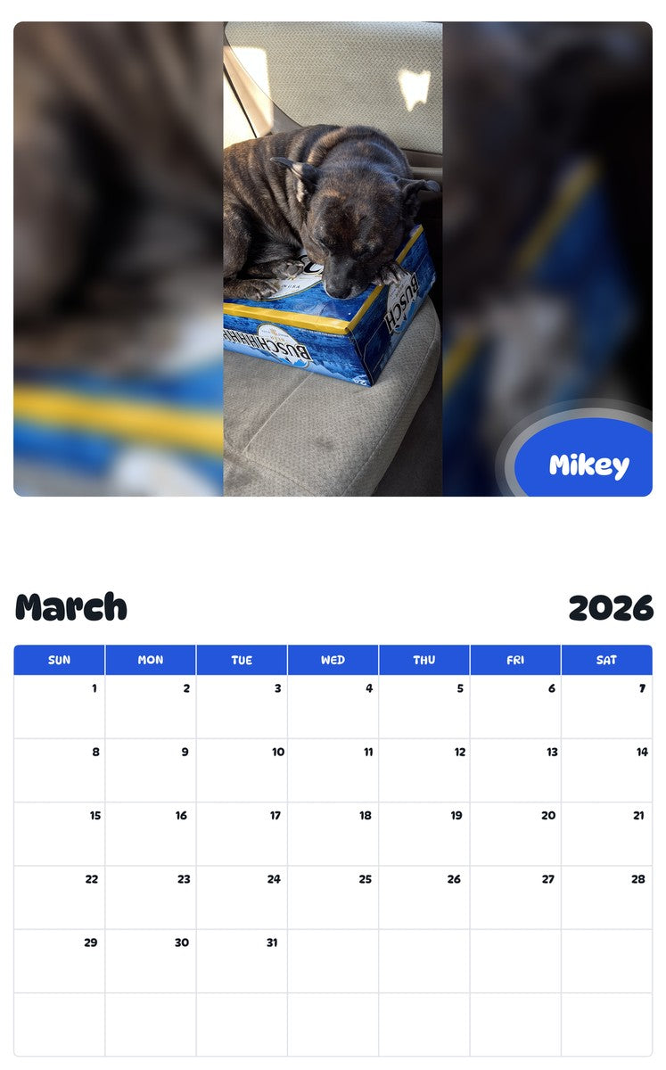 November 2025 - October 2026 Mikey - Pawidols Pet Calendar