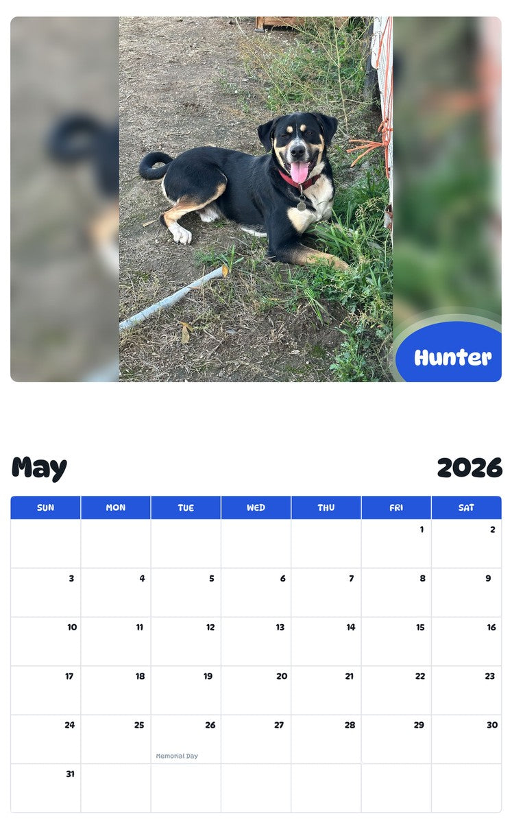 2026 - 2027 Hunter - Pawidols Pet Calendar