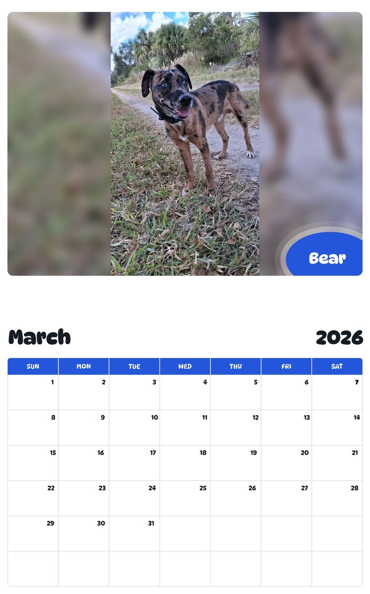 November 2025 - October 2026 Bear - Pawidols Pet Calendar
