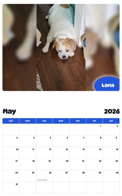 2026 - 2027 Lana - Pawidols Pet Calendar