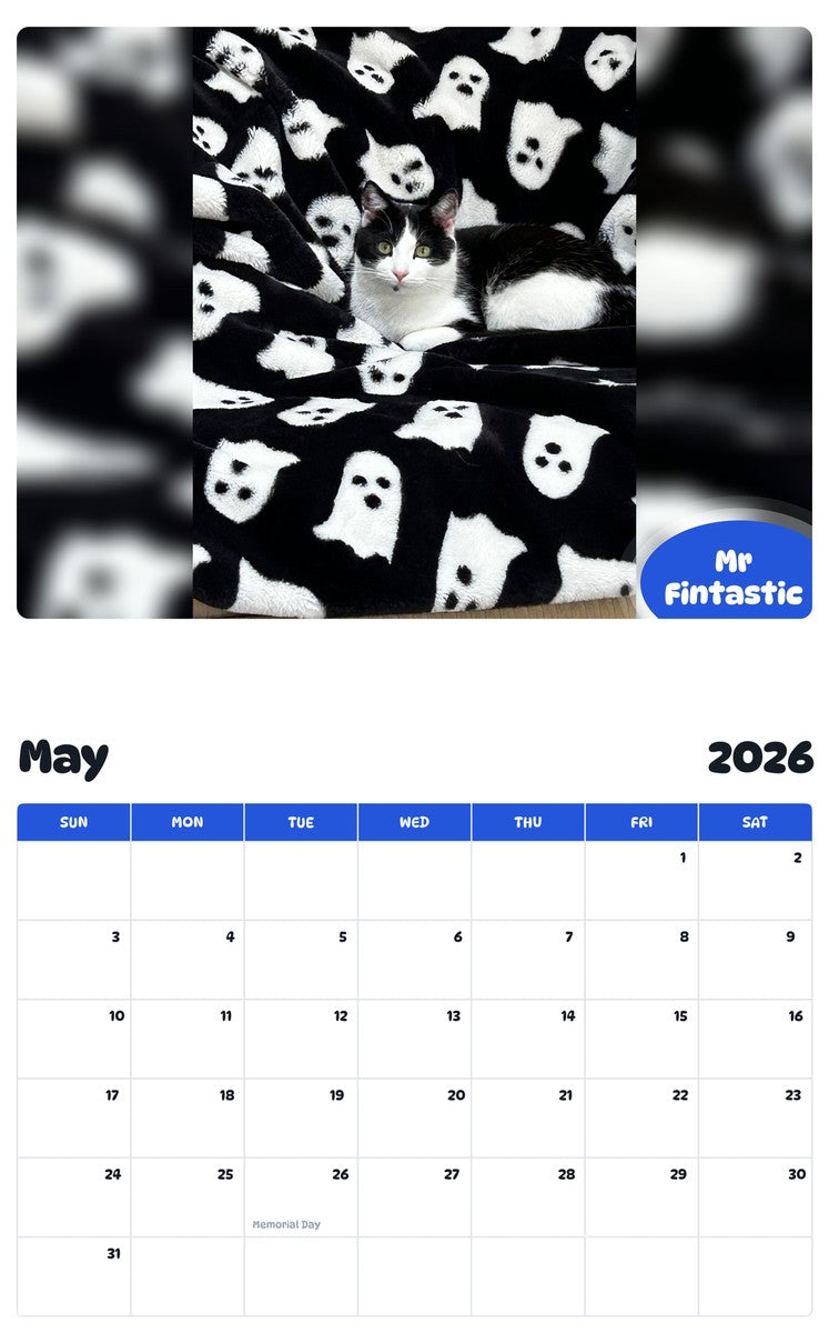 2026 - 2027 Mr Fintastic - Pawidols Pet Calendar