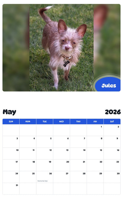 2026 - 2027 Jules - Pawidols Pet Calendar