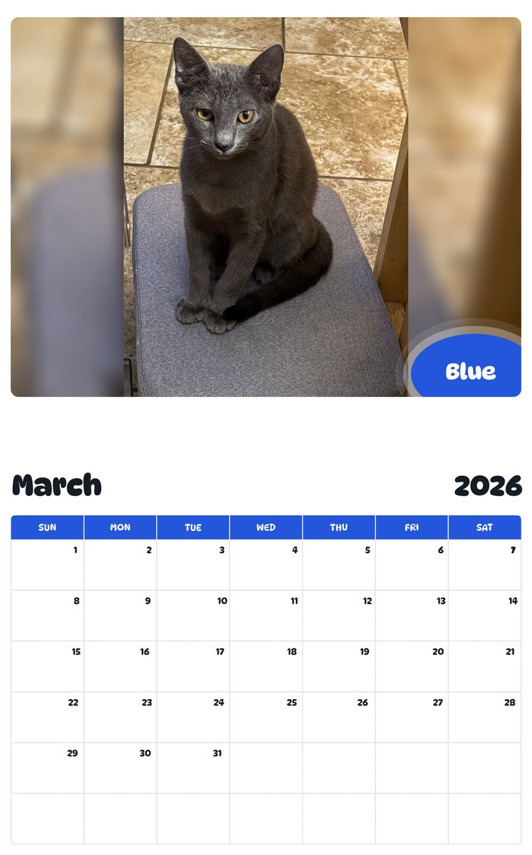 November 2025 - October 2026 Blue - Pawidols Pet Calendar