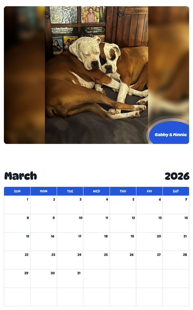 November 2025 - October 2026 Gabby & Minnie - Pawidols Pet Calendar